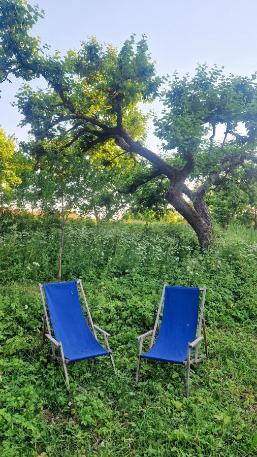 Camping Camp Gorzelnia